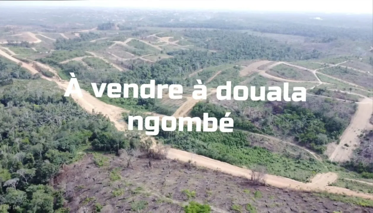 Nouveau lotissement de terrain titre a vendre a douala 5eme quartier ngombe Lea Group Sarl Cameroun