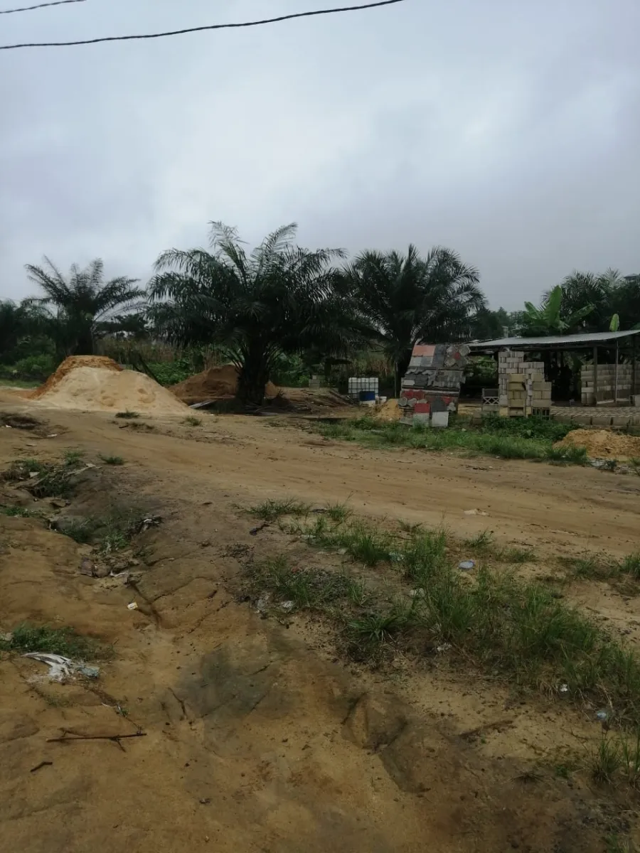 Terrain titré à vendre à japoma 2 hectares Lea Group Sarl Cameroun