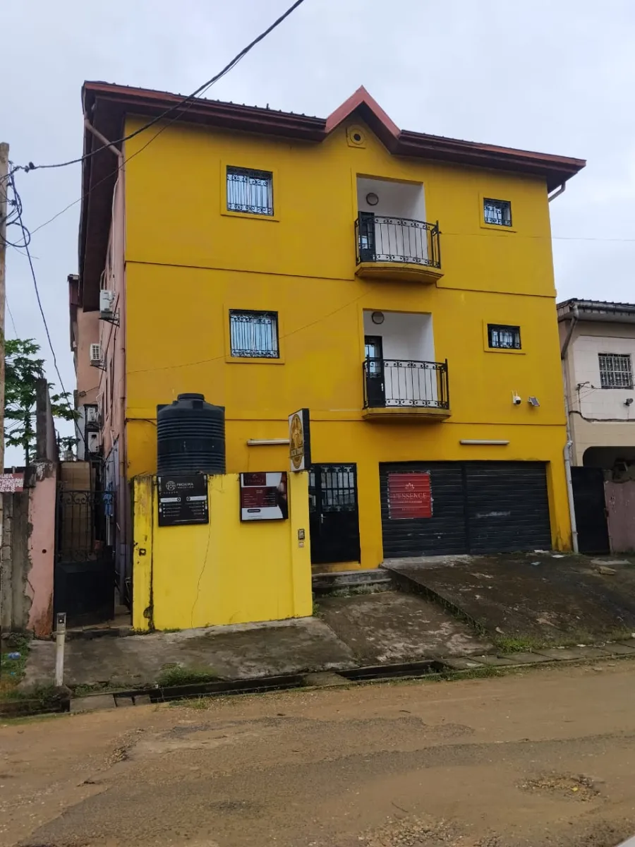 Immeuble Jumelle a vendre a bonamoussadi  Lea Group Sarl Cameroun