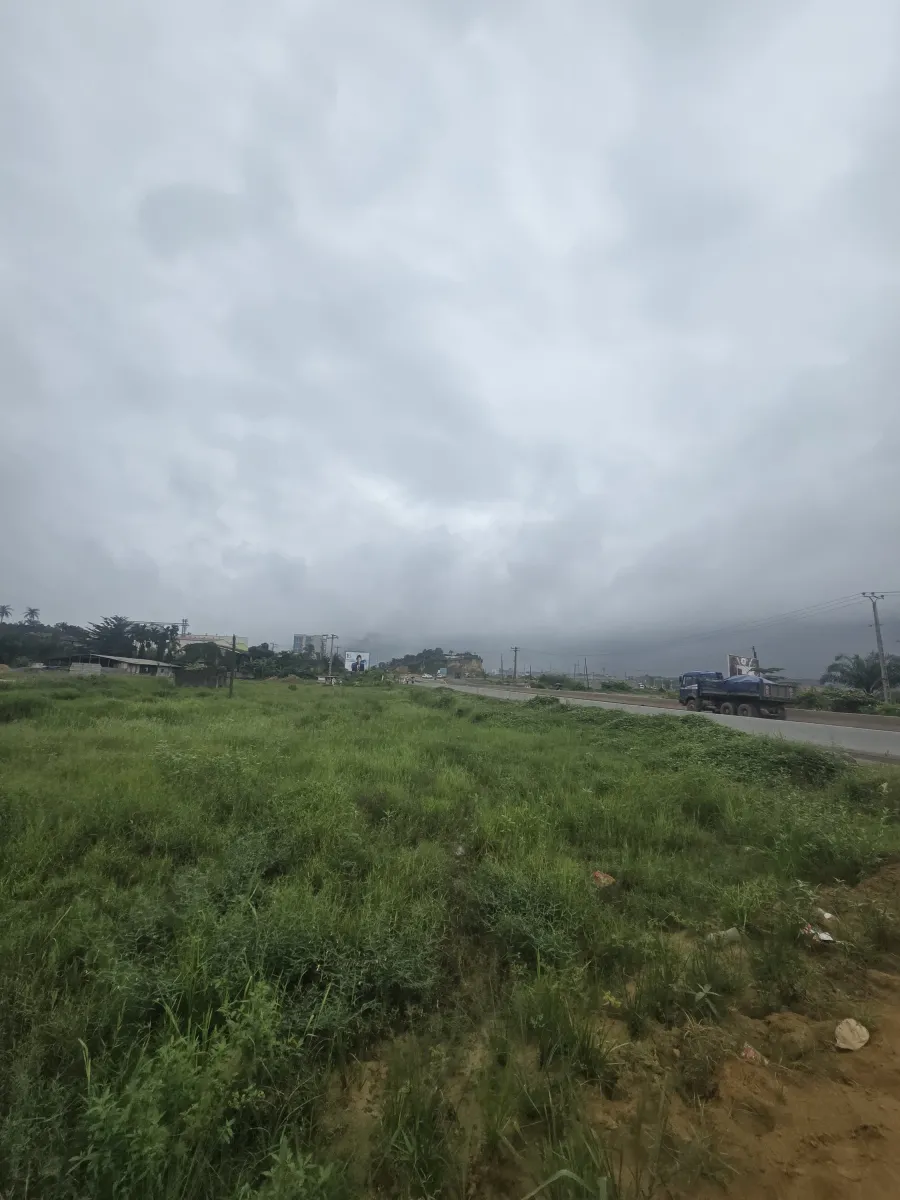 Terrain commercial titré à vendre yassa avant le pont de la dibamba route nationale 3 superficie 1 hectares 6000m2 — Léa Group au Cameroun