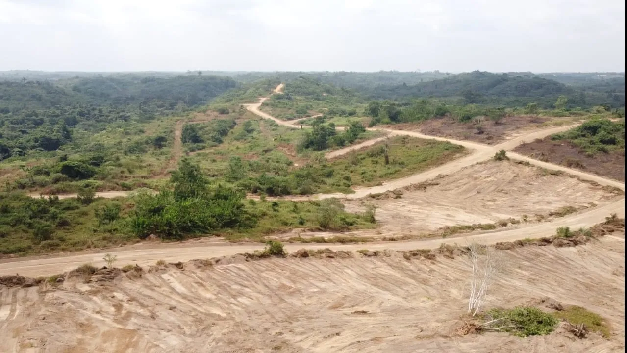 Nouveau lotissement de terrain titre a vendre a douala 5eme quartier ngombe — Léa Group au Cameroun
