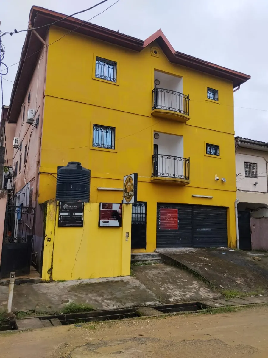 Immeuble Jumelle a vendre a bonamoussadi  — Léa Group au Cameroun