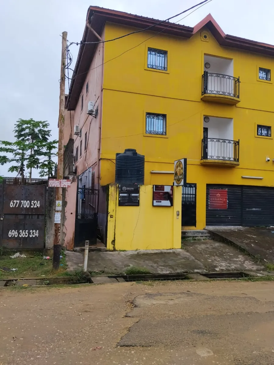 Immeuble Jumelle a vendre a bonamoussadi  — Léa Group au Cameroun